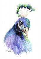 100-201 Peacock Head 3